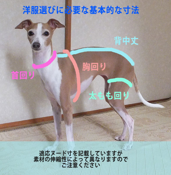 イタグレ ウィペット 浴衣 GIRLS イタグレの服既定サイズの寸法|mamapocket