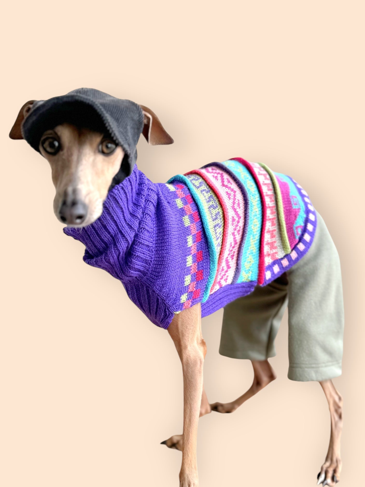 新品 犬服 ニット アウター アルパカニット 手編みニット Mサイズ バラ