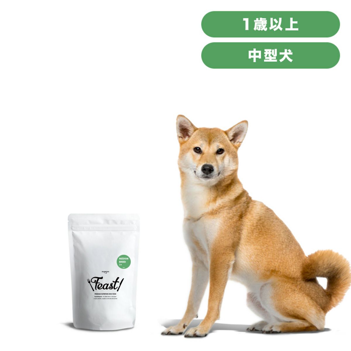 INUMESHI フィースト 1歳以上 中型犬用 15kg ブリーダーパック