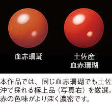 W*k様 【土佐名産】天然血赤珊瑚とブラックトルマリンK18イヤリング