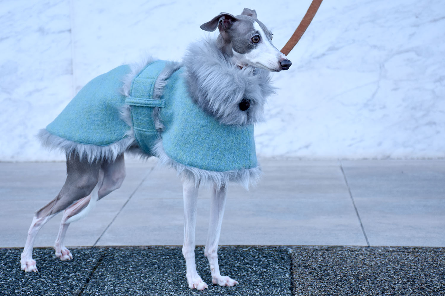 イタグレ服◇IG WORKS（アイ・ジー・ワークス）◇