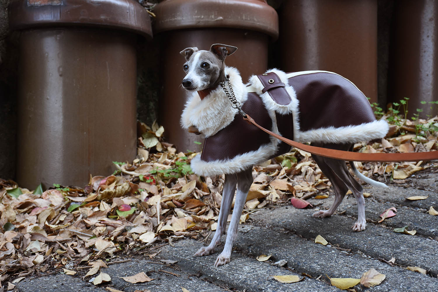 イタグレ服◇IG WORKS（アイ・ジー・ワークス）◇