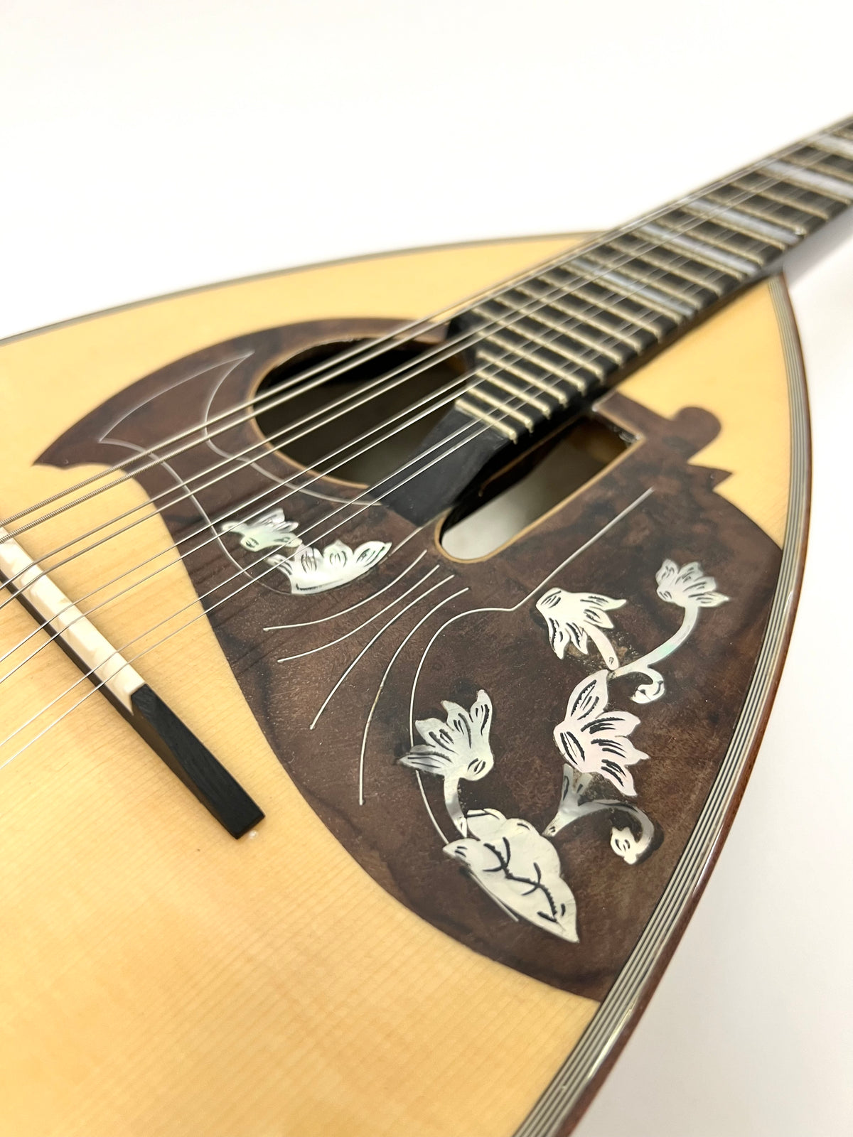 カラーチェマンドリンNo.15 | イケガク