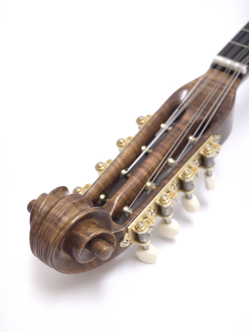 落合マンドリンS-SR | イケガク