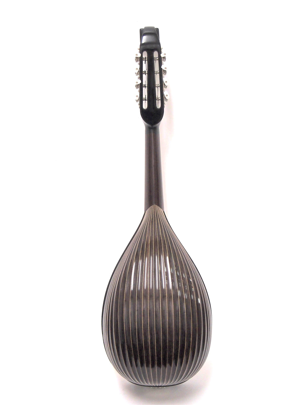 P1018742_1200x.jpg?v=1676885954