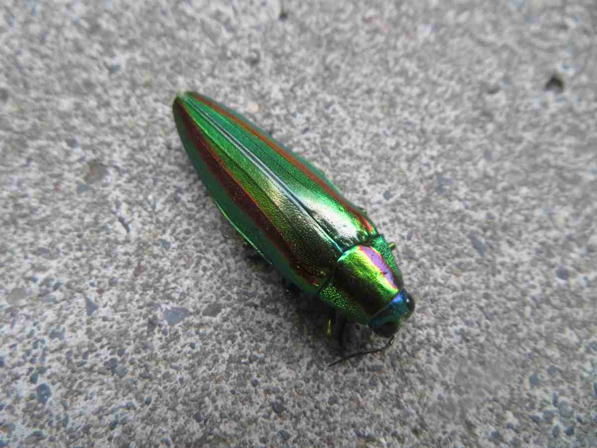 詳細検索：環境省