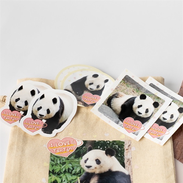 売約済 王子動物園 タンタン クリアファイル & ありがとうタンタン