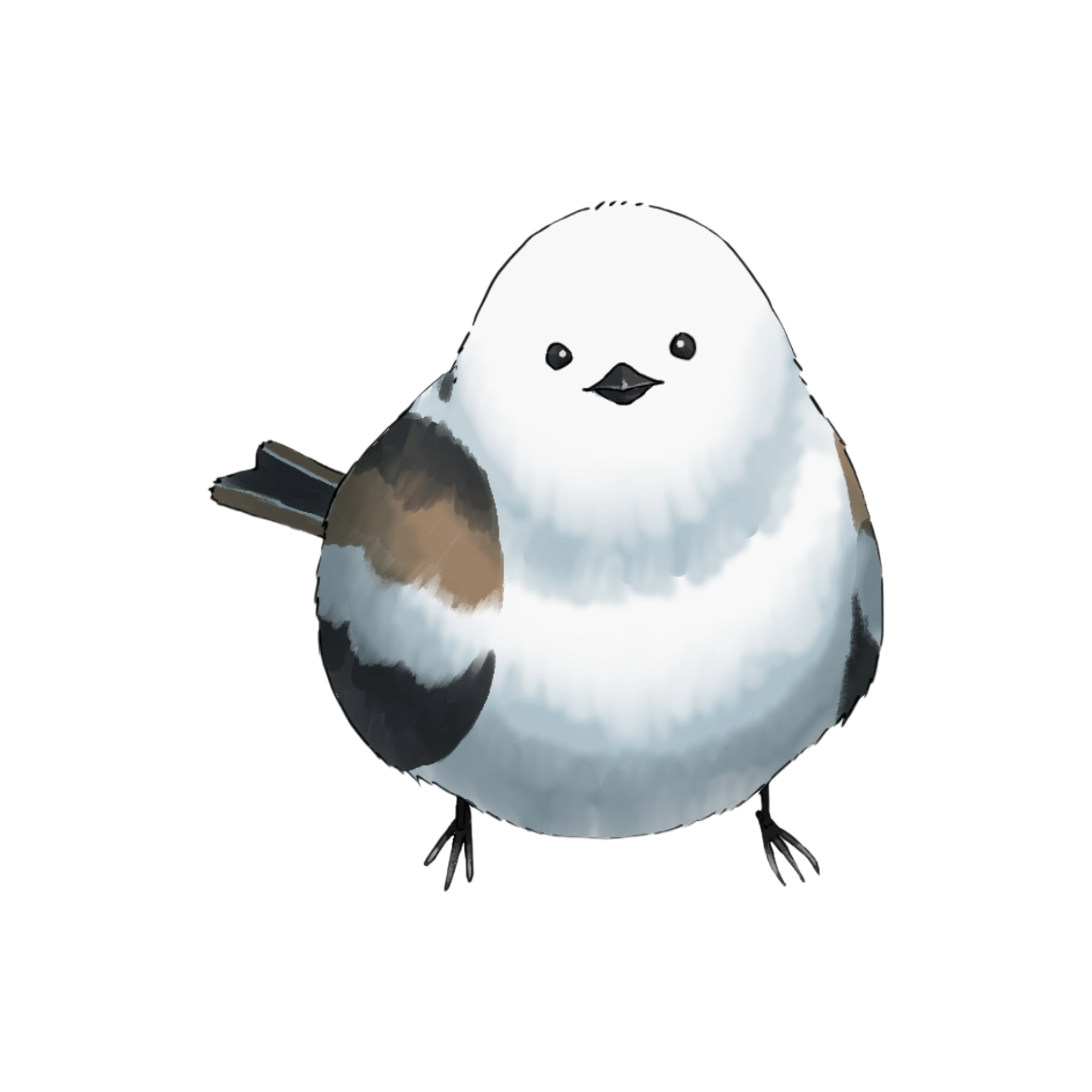 シマエナガの絵