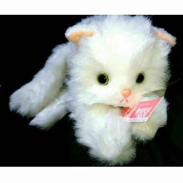 ☆昭和レトロ アバンセ シャム猫 ぬいぐるみ 当時物 希少 ビンテージ