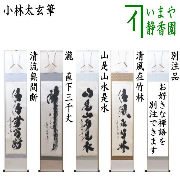 掛け軸 河野千峰 亀蓬莱 絹本 希少 軸装 茶道具 掛軸 美品 です