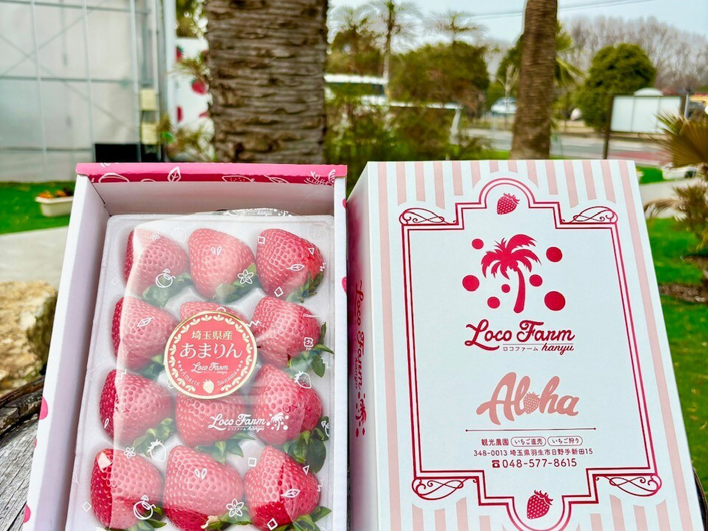 超希少！大粒いちご】あまりん贈答 ー12粒入ー：埼玉県産のあまりん