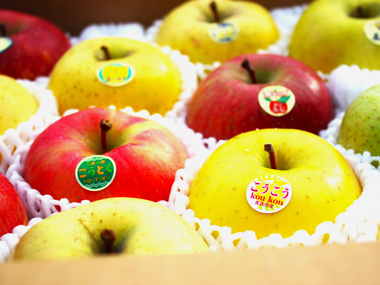 4eddedfeb3df7dbf9ea0deeda9282e