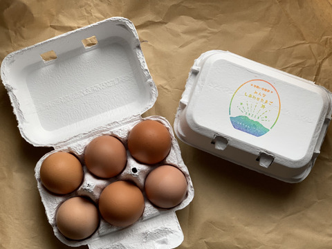 平飼い有精卵24個＊みんな＊しあわせたまご／季節のおすそ分け入り