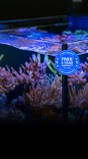 The MAX NANO G2 Series - Red Sea