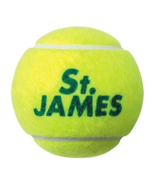 硬式テニスボール セントジェームス4球缶 | ダンロップ(DUNLOP