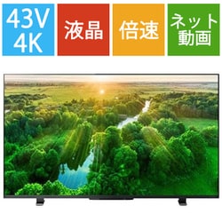 REGZA 液晶テレビ 43Z570L 43インチ 4K 高音質 液晶に横線あり TVS