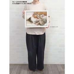 ヨドバシ.com - やのまん YANOMAN 03-942 なかよしにゃんこ