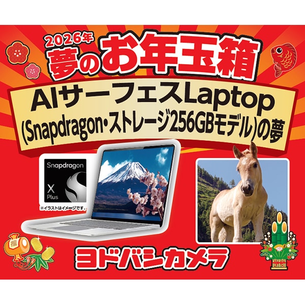 2026】ヨドバシ福袋「夢のお年玉箱」を予想！圧倒的にオトクなのはこの
