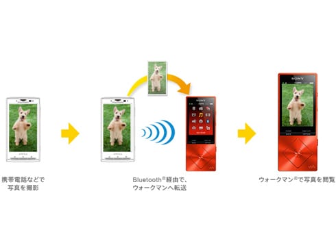 ヨドバシ.com - ソニー SONY メモリーオーディオ WALKMAN