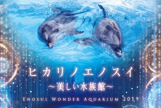 ツマグロ 新江ノ島水族館への誘い 希少/(台座未開封)【海洋堂】新