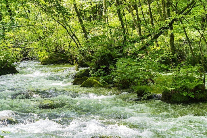 奥入瀬渓流【アソビュー！】