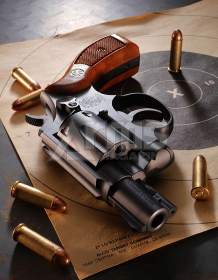 タナカワークス S&W M10 ミリタリー&ポリス 2インチ モデルガン S&W