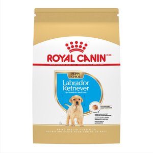 ROYAL CANIN Breed Health Nutrition Golden Retriever Puppy Dry Dog