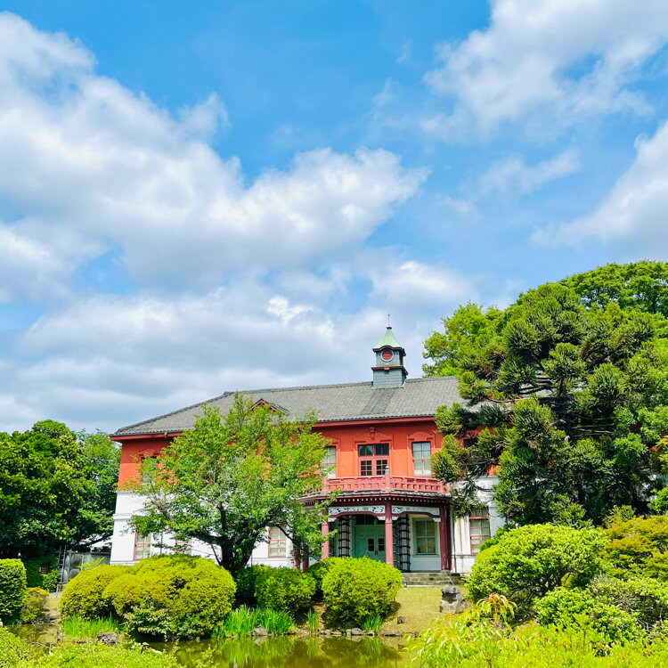 賀来飛霞 彩色花弁圜 希少 墨彩画 日本画 牧野富太郎 小石川植物園 大分県