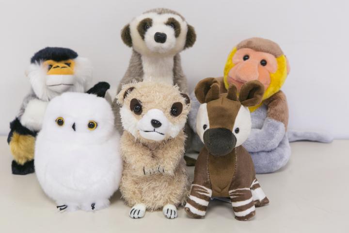 安い 横浜ズーラシアのぬいぐるみ 横浜ズーラシアのぬいぐるみ 横浜