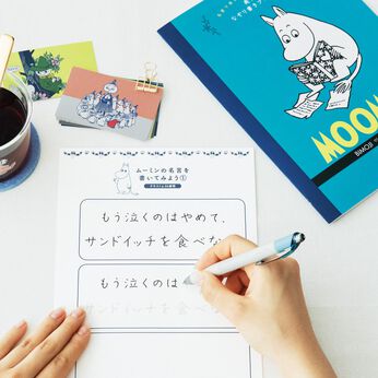 フェリシモ】おうちで楽しむオーブン陶芸 1年間レッスンプログラム