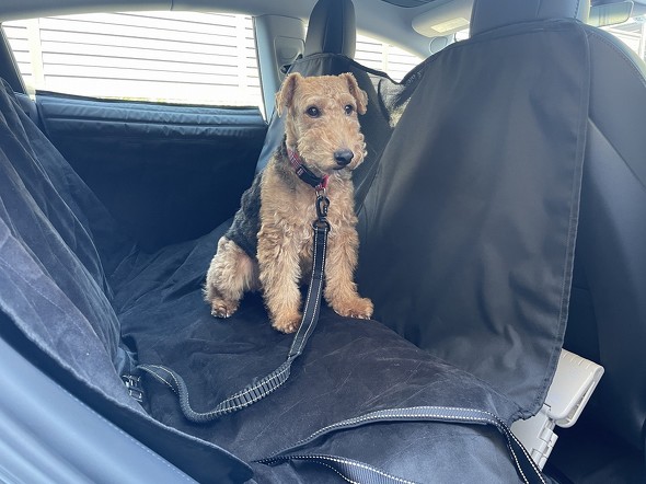 フロントおよびリア シート 未使用 Tesla純正 Model S/3/Y ペット