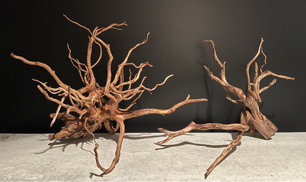 MJW-5874 ジンジャーウッド 3本セット 天然流木 アクアリウム