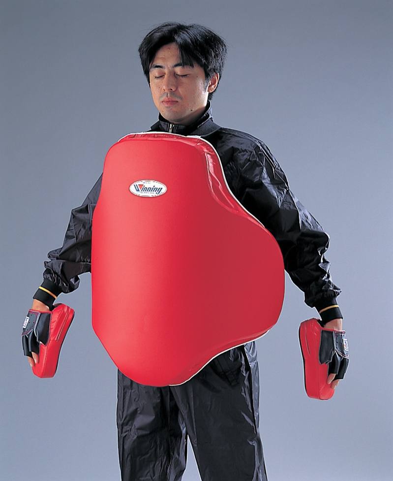 body protector - あじさい シクラメン 高級鉢花 生花 ガーデニング