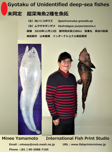 新作魚拓ギャラリー - fishprintermineo ページ！