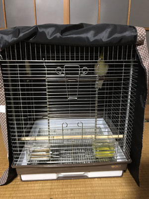 おやすみ カバー（鳥かご インコ ケージ カバー）評判・口コミ6お客様