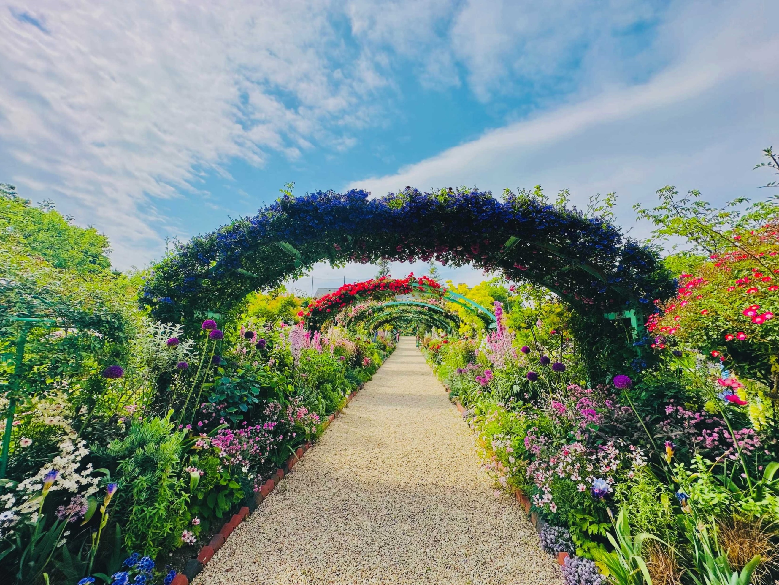 浜名湖花博 セット 3枚 浜名湖花博 コインセット 3枚 造幣局 :