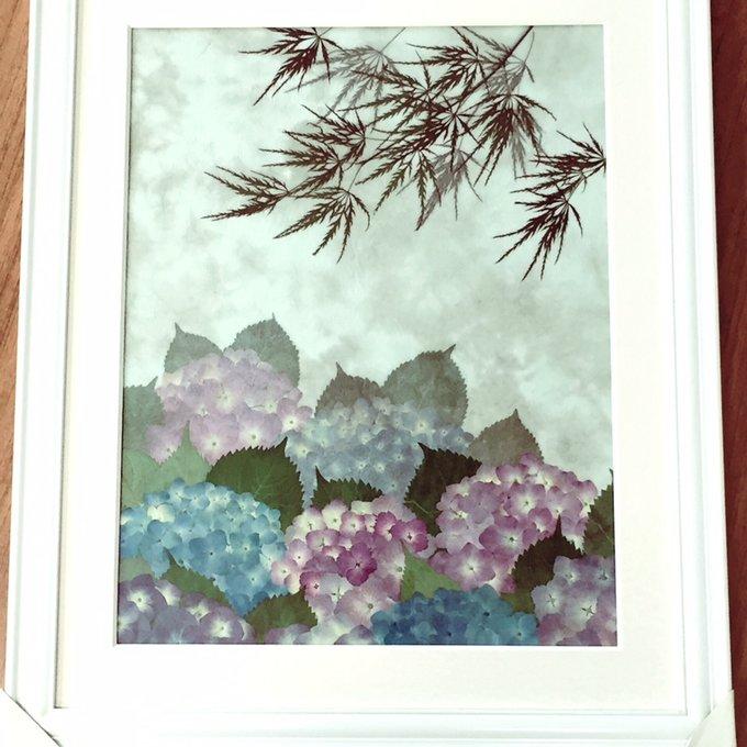 月下美人 押し花 額縁入り 押し花アート 汚れあり 月下美人 押し花