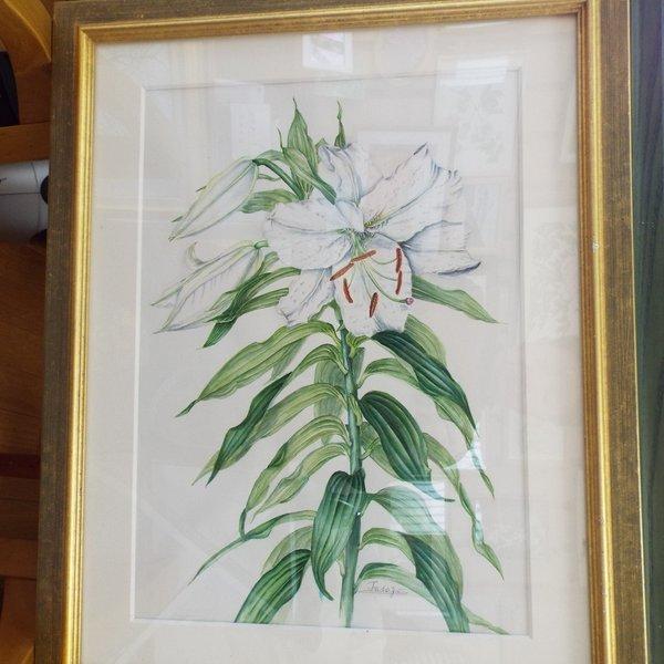 9e1059947cb313906bc0691ad56e60