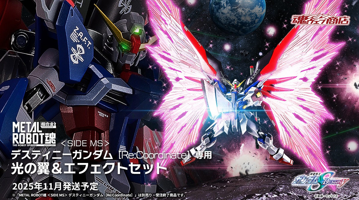 METAL ROBOT魂 デスティニーガンダム ［Re:Coordinate］専用 光の翼