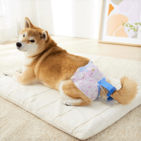 うんぽパンツ｜ ペット用品の通販サイト ペピイ（PEPPY）