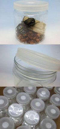 クリアボトル800【ブリーダーズファーム製】の販売 | モンスター