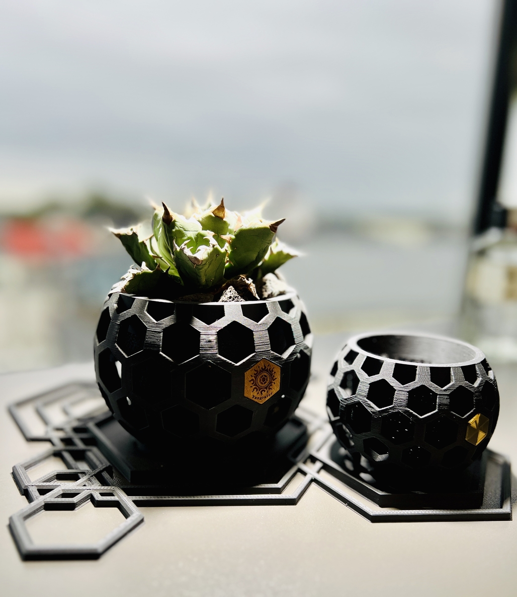 広東鉢六角絵鉢大きめ鉢