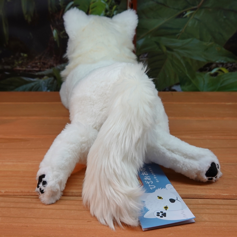 サンレモン【公式】 on X: ひざおおかみ ホッキョクオオカミ那須