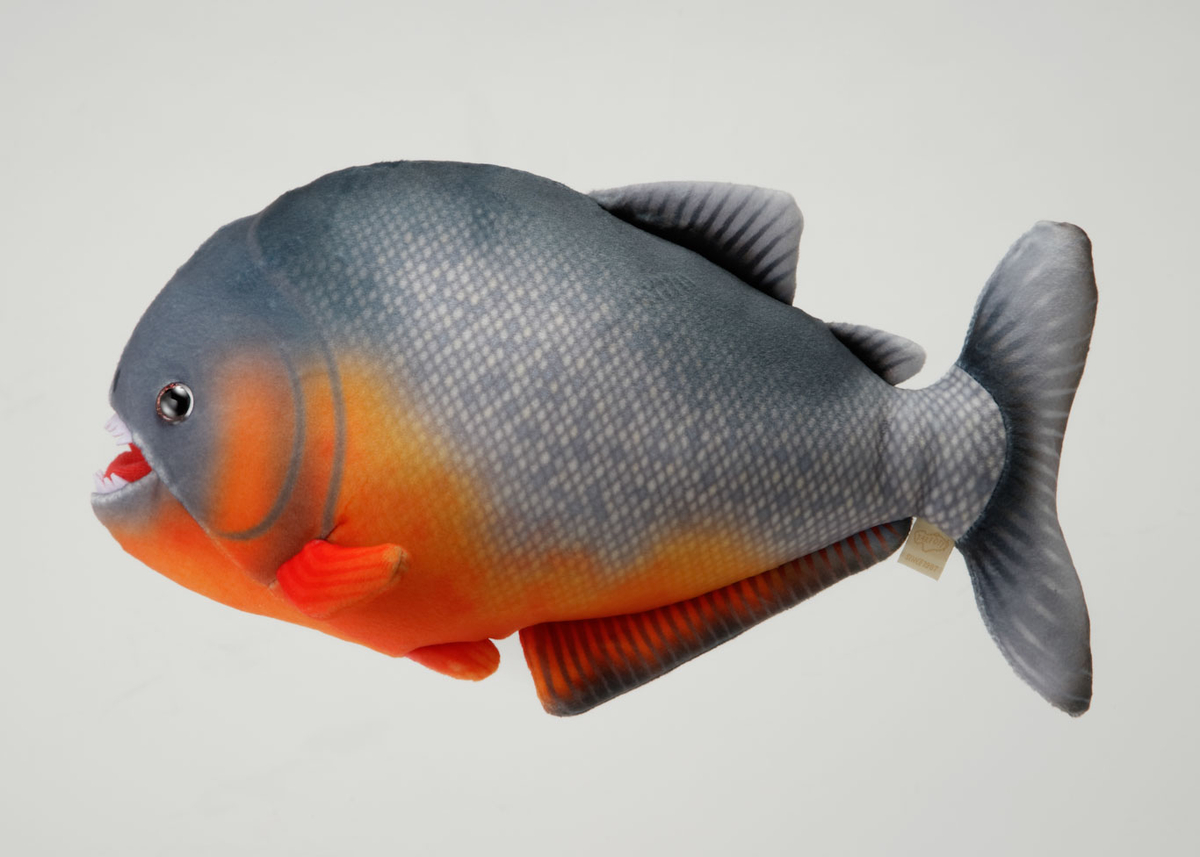 ピラニアのぬいぐるみ | 生物園オンラインショップ