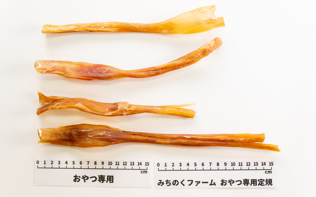 南米産]馬アキレスホールロング | みちのくファーム