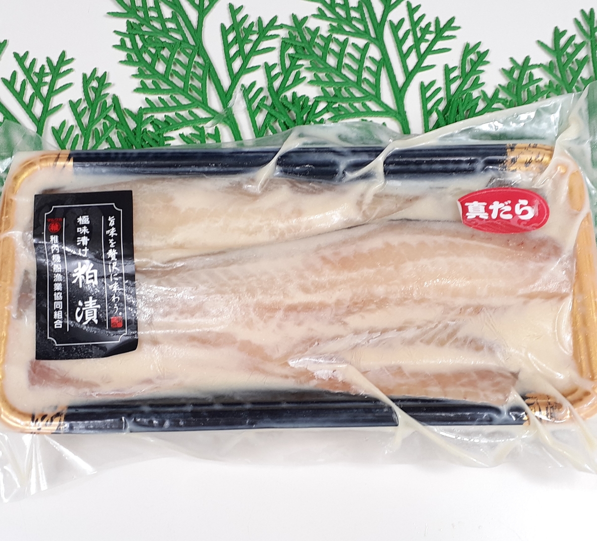 シロチョウ科 セット 【公式通販】