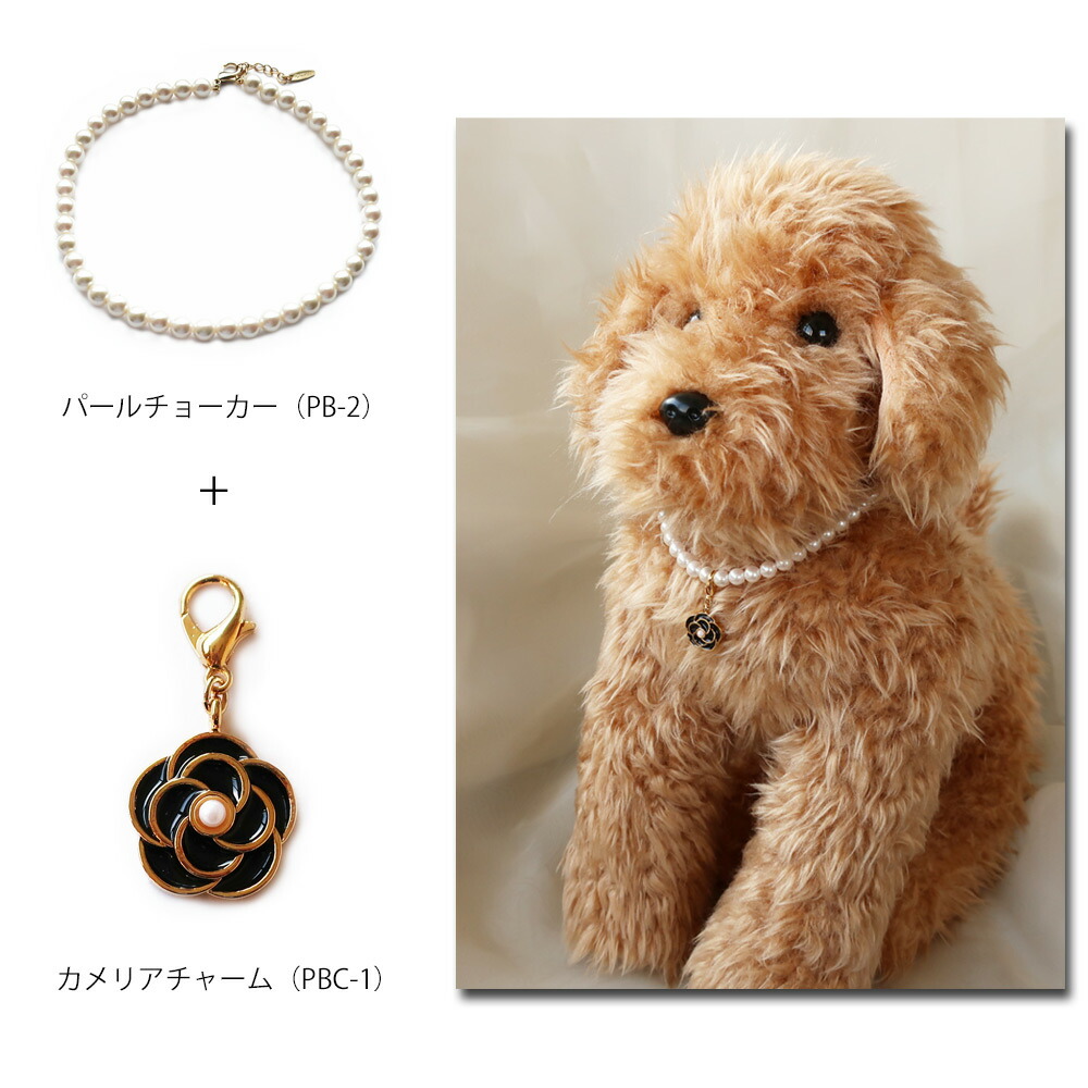 楽天市場】【20%OFFクーポン対象！】ペットアクセサリー 犬用