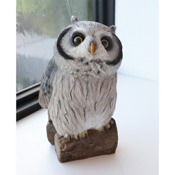 楽天市場】【特典付き】 ルック・ブランチオウル アンティーク調