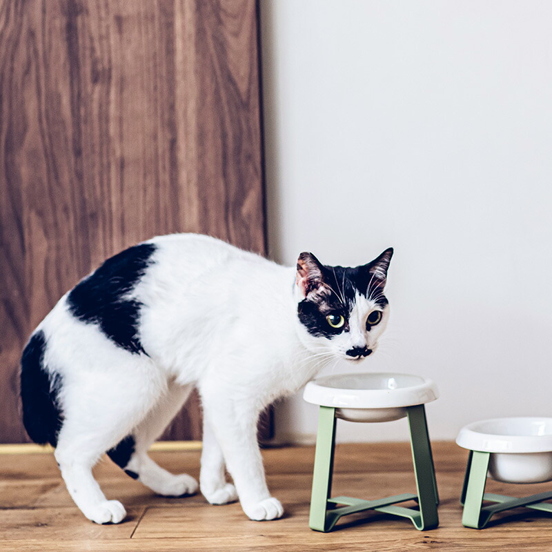 楽天市場】【Newカラー】pecolo ペコロ フードスタンド Stall【猫用品