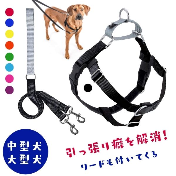 楽天市場】引っ張り 防止 ハーネス 犬用 [ハーネス&リードセット] 大型